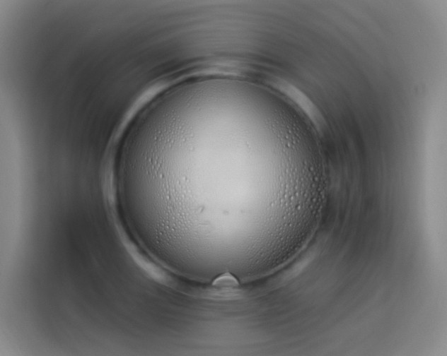 X0000114031131200910021433