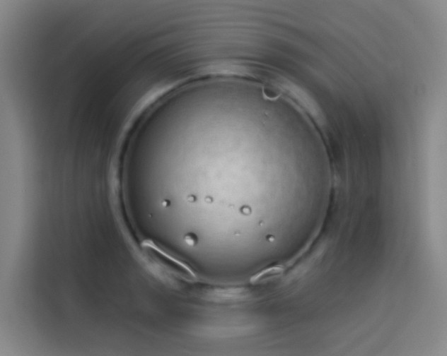 X0000114031133200910021433