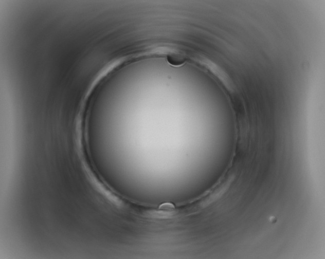 X0000114031134200910021433