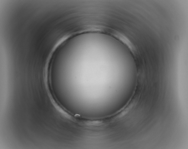 X0000114031135200910021433