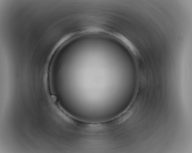 X0000114031142200910021433