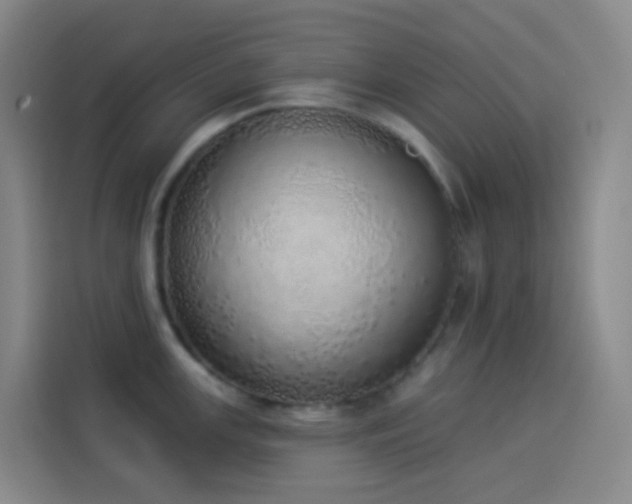 X0000114031147200910021433