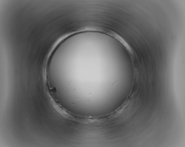 X0000114031148200910021433