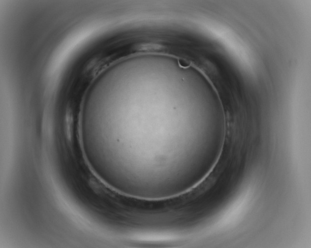X0000114031151200910021433