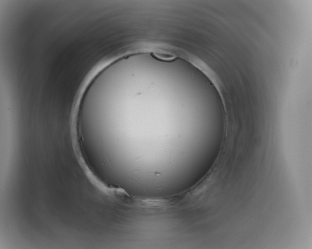 X0000114031152200910021433