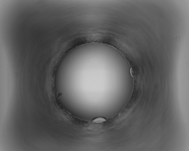 X0000114031153200910021433