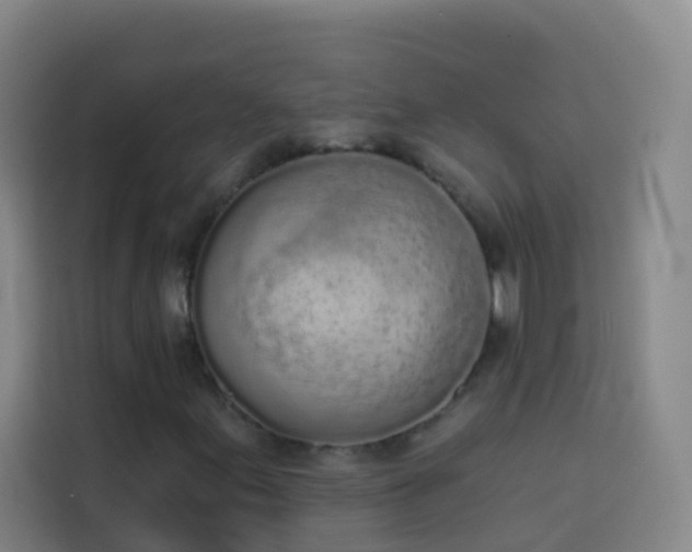 X0000114031155200910021433