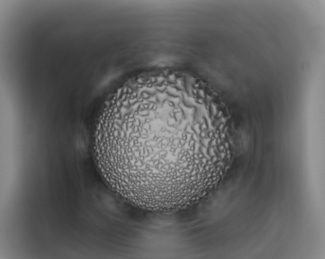 X0000114031158200910021433