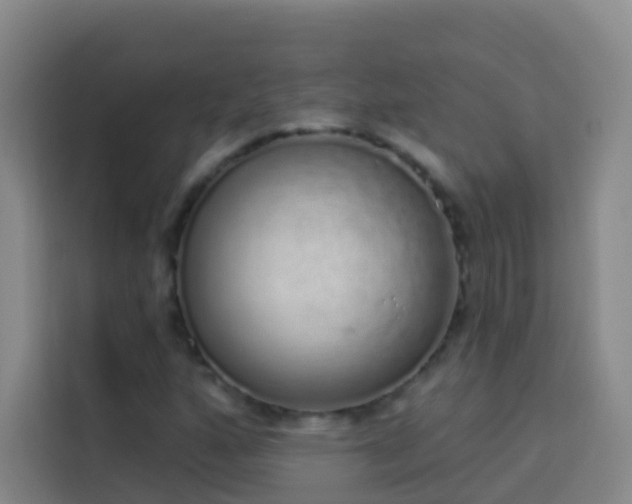 X0000114031160200910021433