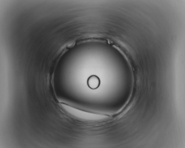 X0000114031161200910021433