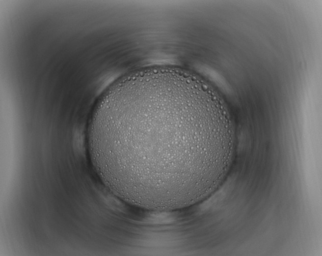 X0000114031162200910021433