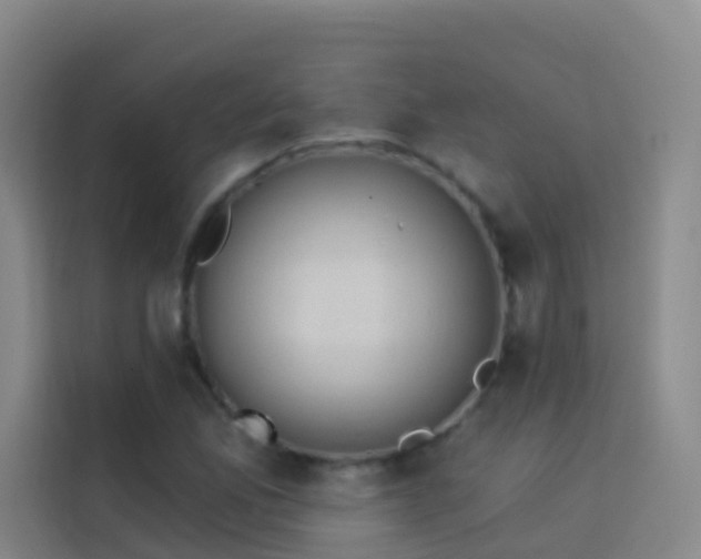 X0000114031165200910021433