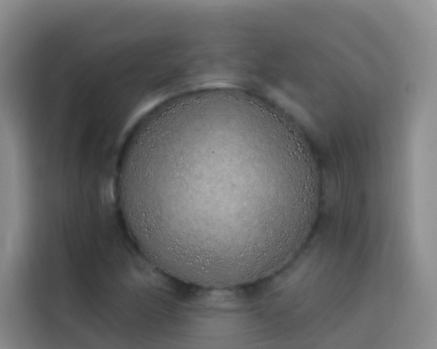X0000114031166200910021433