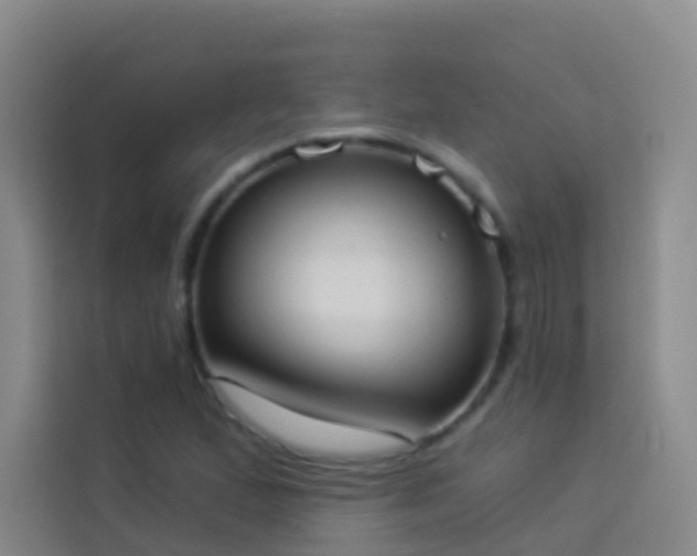 X0000114031167200910021433