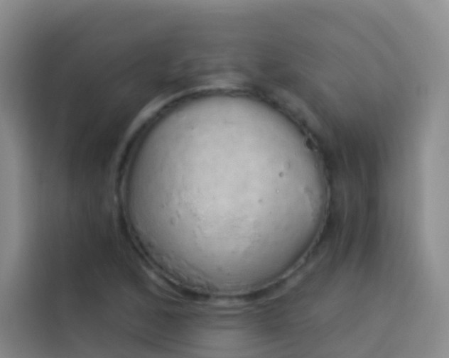 X0000114031168200910021433