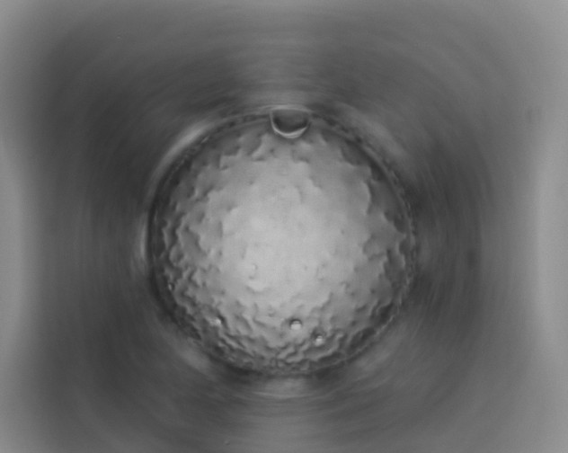 X0000114031174200910021432