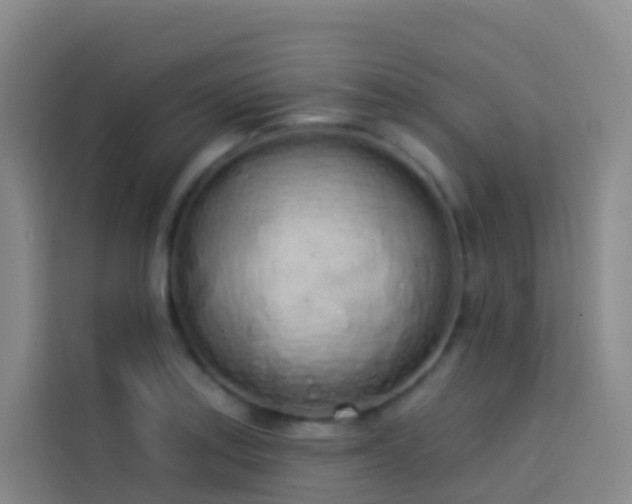 X0000114031179200910021432
