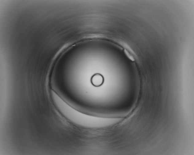 X0000114031181200910021432