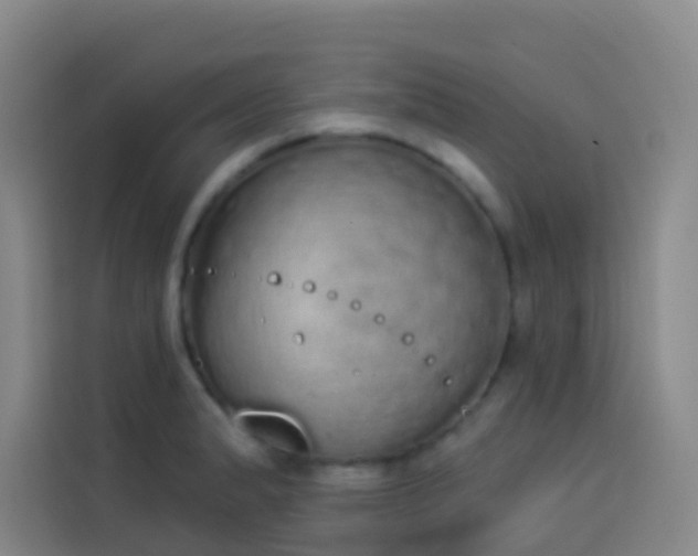 X0000114031183200910021432
