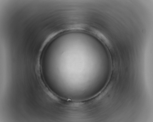 X0000114031184200910021432