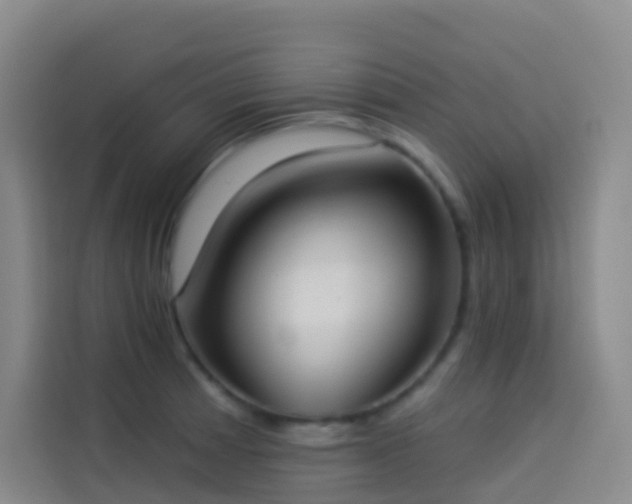 X0000114031185200910021432
