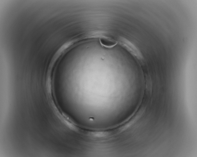 X0000114031188200910021432