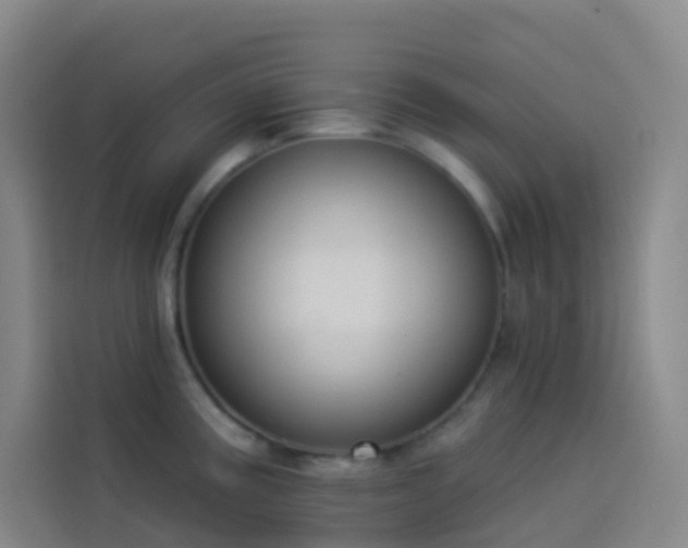 X0000114031195200910021432