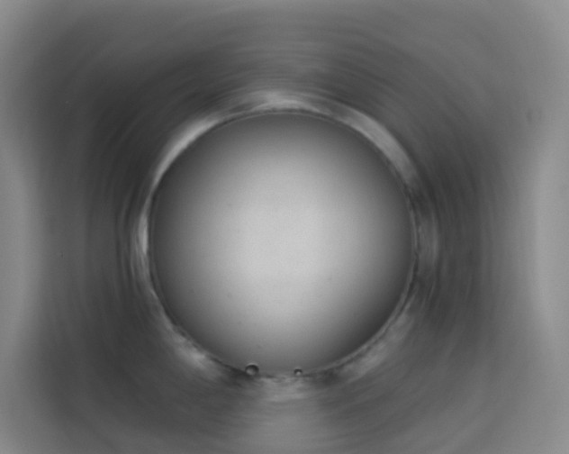 X0000114031198200910021432