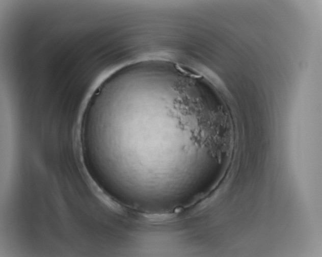 X0000114031200200910021432