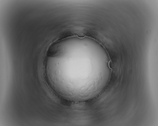 X0000114031201200910021431