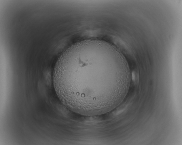 X0000114031203200910021431