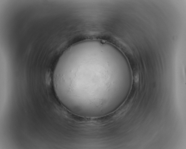 X0000114031204200910021432