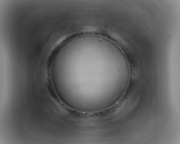 X0000114031208200910021432