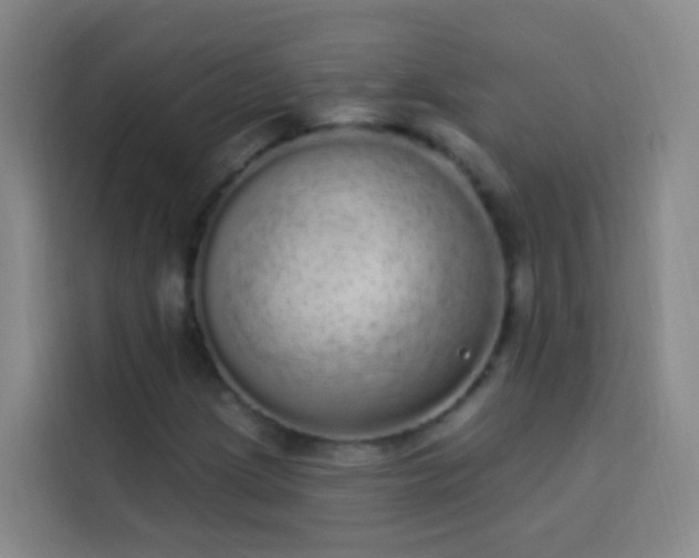 X0000114031209200910021432