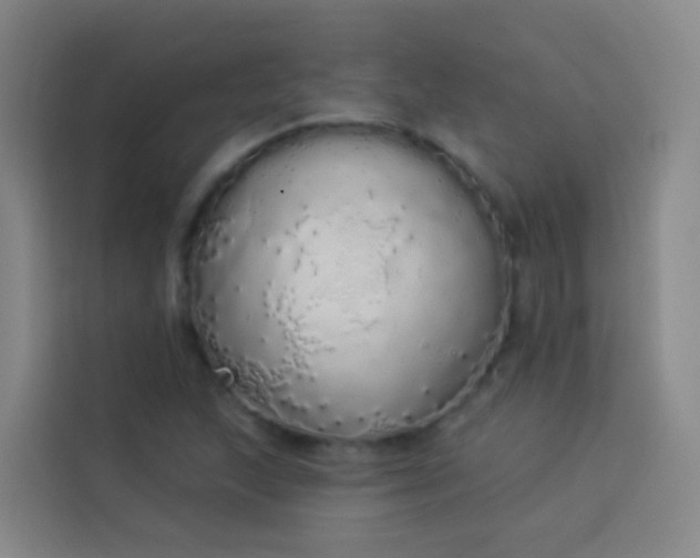 X0000114031215200910021432