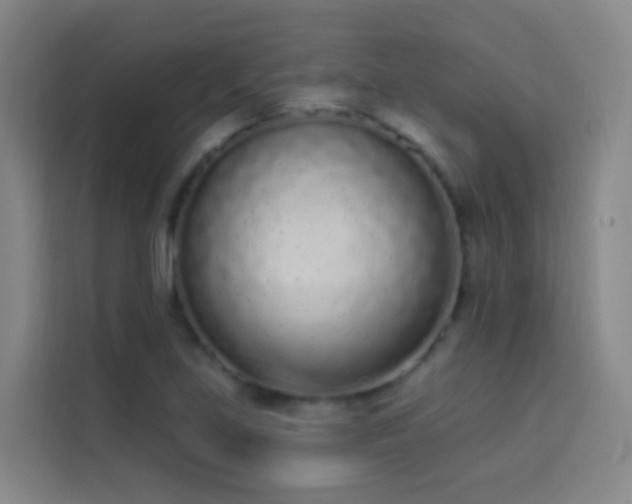 X0000114031219200910021432