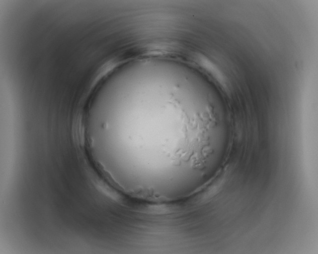 X0000114031227200910021432