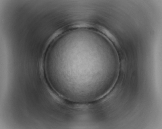 X0000114031229200910021432