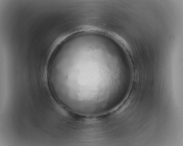 X0000114031231200910021432