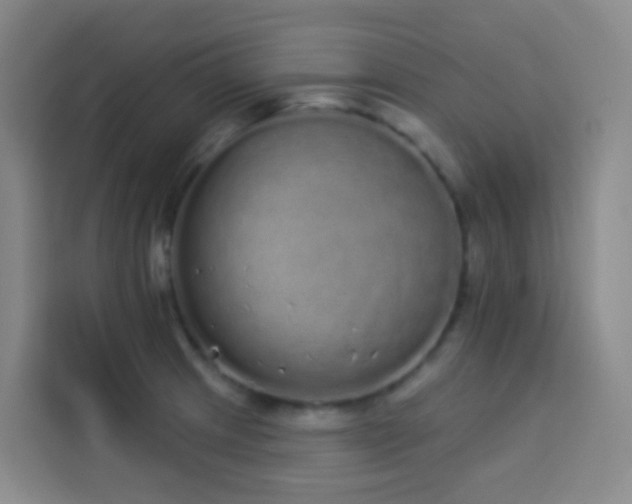 X0000114031233200910021432