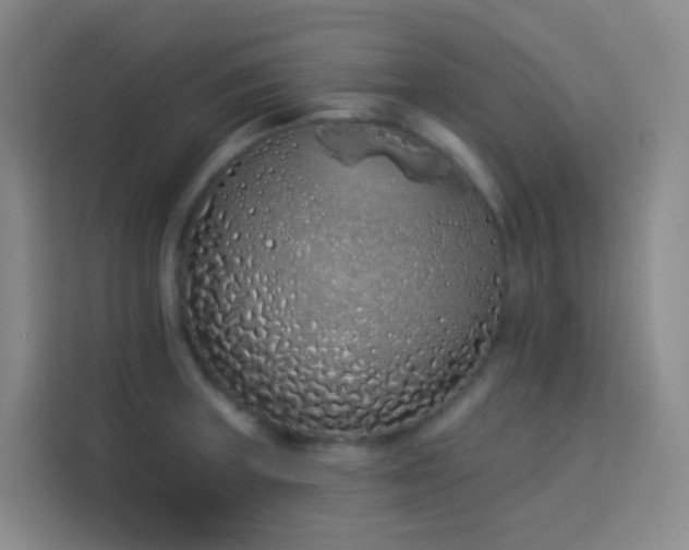X0000114031235200910021432