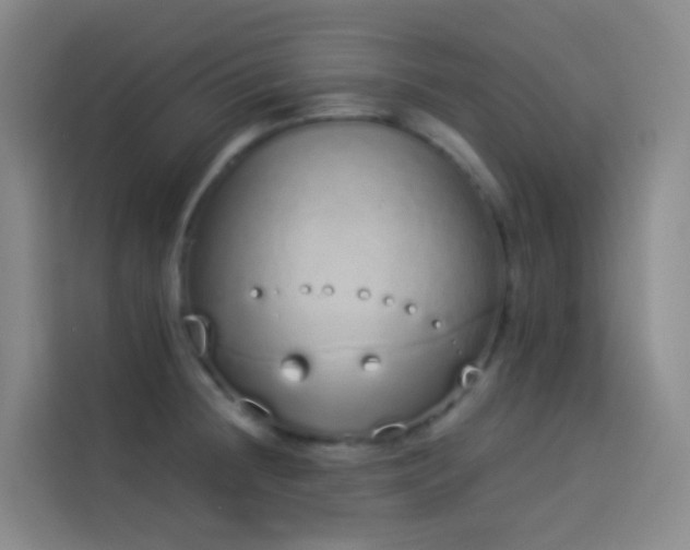X0000114031236200910021432