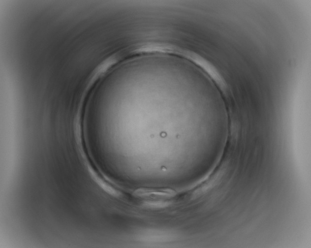 X0000114031237200910021432
