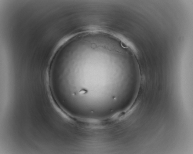 X0000114031239200910021432