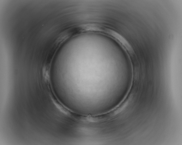 X0000114031241200910021432