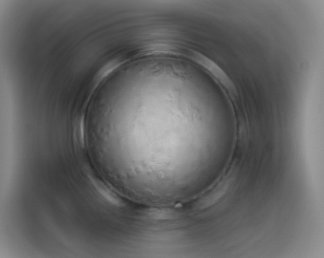 X0000114031242200910021432