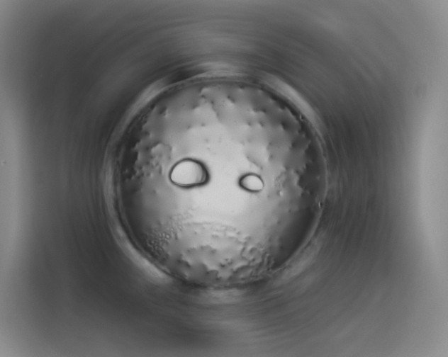 X0000114031243200910021432