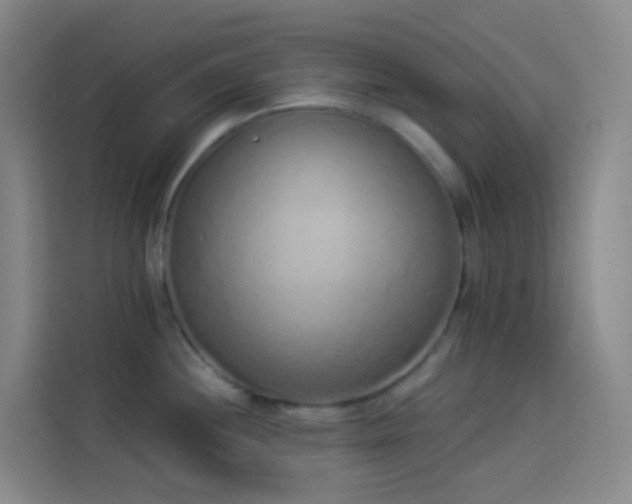 X0000114031244200910021432