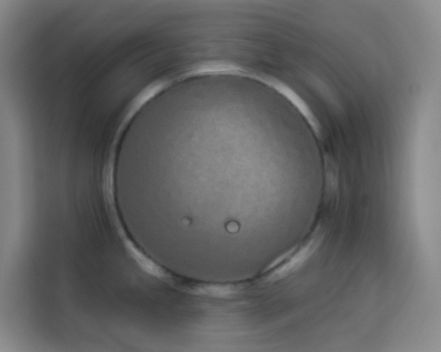 X0000114031245200910021432