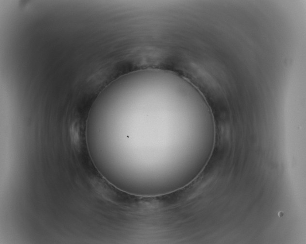 X0000114031250200910021431